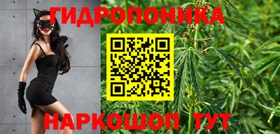 кокс Донской